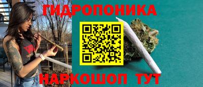индика Будённовск