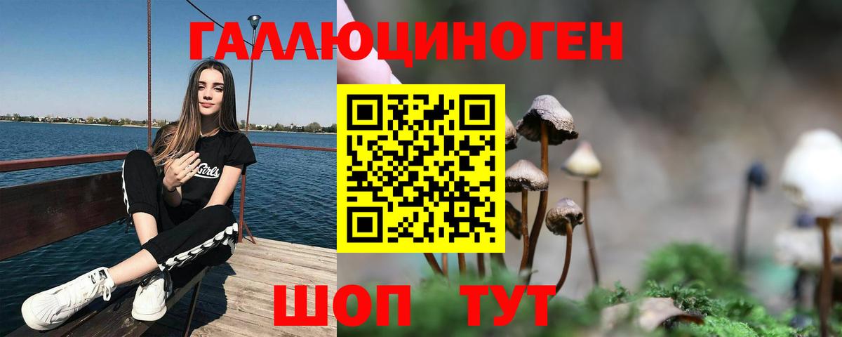 Галлюциногенные грибы Psilocybine cubensis Урюпинск