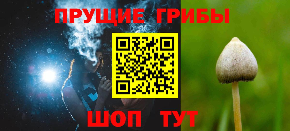 Псилоцибиновые грибы GOLDEN TEACHER  Галлюциногенные грибы прущие грибы  Урюпинск  Вход с VPN 